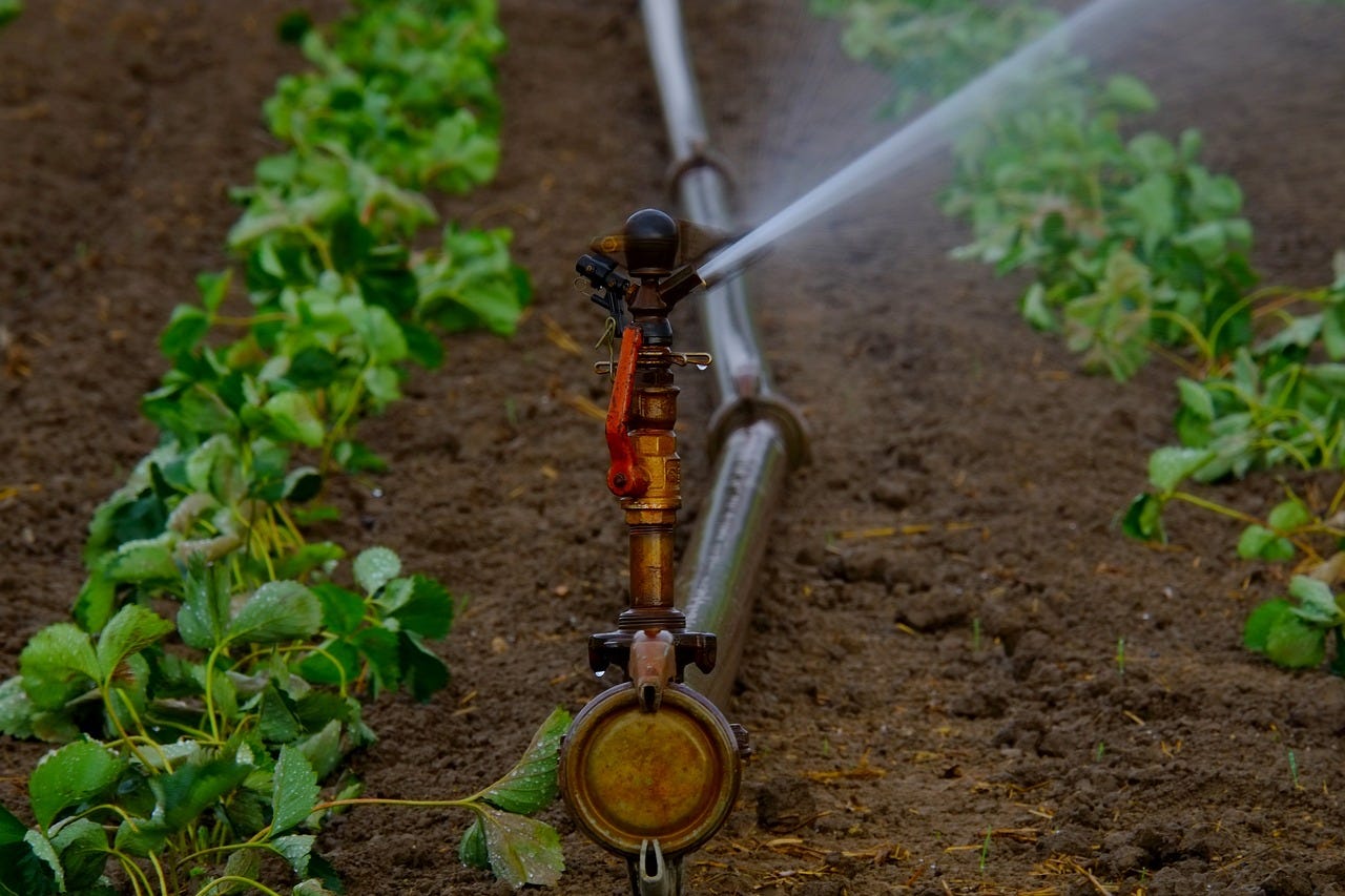 agriculture management