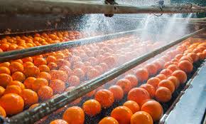 food and beverage industry