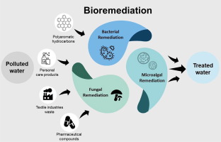 Blockchain in Environmental Monitoring Image